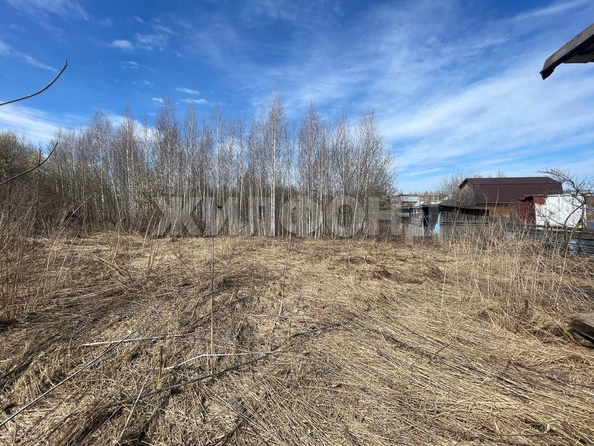 
  Продается земельный участок, 6 соток, Томск
. Фото 5.