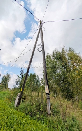 
  Продается земельный участок, 16.7 соток, село Богашево
. Фото 5.