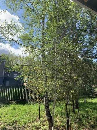
  Продается дом 145 м². Фото 37.