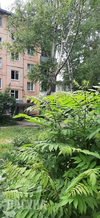 
  Сдается 1-комн. квартира 15 м². Фото 4.