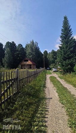 
  Продается земельный участок 9 соток. Фото 6.