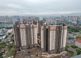 Барбарис: Ход строительства 5 августа 2025