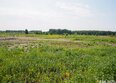 Зеленая Река, 2 очередь, корп 1-5: Ход строительства 18 июня 2025