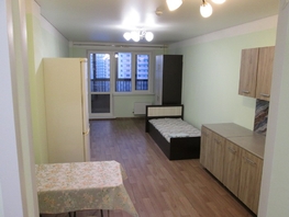 Снять однокомнатную квартиру Соколовская ул, 29.2  м², 18000 рублей