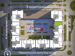 Продается 3-комнатная квартира ЖК Академгородок, дом 5, 81 м², 11600000 рублей