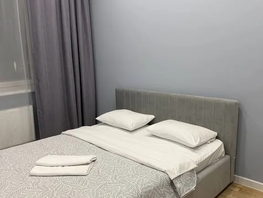 Снять двухкомнатную квартиру Петра Подзолкова ул, 68  м&sup2;, 3675 рублей