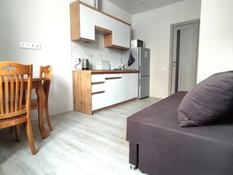 Снять двухкомнатную квартиру Петра Ломако ул, 30  м&sup2;, 3590 рублей
