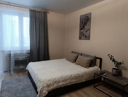 Снять однокомнатную квартиру Петра Подзолкова ул, 30  м&sup2;, 3500 рублей