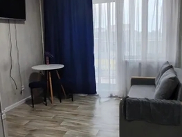 Снять однокомнатную квартиру Борисова ул, 23  м&sup2;, 3000 рублей