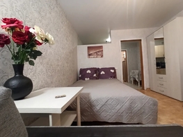 Снять однокомнатную квартиру Карамзина ул, 29  м&sup2;, 2610 рублей