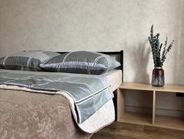 Снять однокомнатную квартиру Светлогорский пер, 24  м&sup2;, 2000 рублей