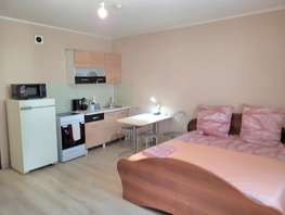 Снять однокомнатную квартиру Карамзина ул, 30  м&sup2;, 2750 рублей