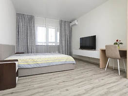 Снять однокомнатную квартиру Петра Подзолкова ул, 45  м&sup2;, 3480 рублей