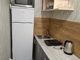 Снять однокомнатную квартиру Караульная ул, 30  м&sup2;, 2500 рублей