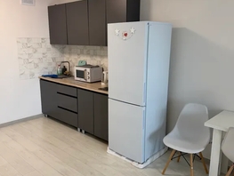 Снять однокомнатную квартиру Соколовская ул, 30  м&sup2;, 2999 рублей