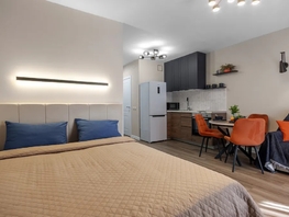 Снять однокомнатную квартиру Аэровокзальная ул, 30  м&sup2;, 3300 рублей