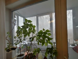 2-комнатная квартира, 44.6 м², 5/5 этаж