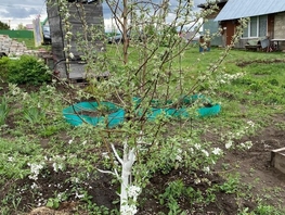 Продается Дом Сельская, 40 м², участок 1200 сот., 1200000 рублей