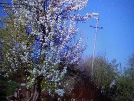 Продается Дом Змеиногорский тракт, 25 м², участок 8 сот., 950000 рублей