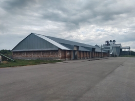 Продается Производственное 113260000 м², 840000000 рублей