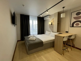 Снять однокомнатную квартиру Димитрова ул, 29  м&sup2;, 3500 рублей