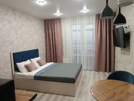 Снять однокомнатную квартиру Промышленная ул, 25  м&sup2;, 3200 рублей