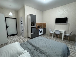 Снять однокомнатную квартиру Строителей пр-кт, 26  м&sup2;, 3500 рублей