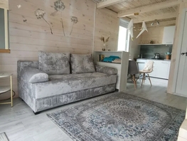 Снять  дом Родничная ул, 40  м&sup2;, 6500 рублей