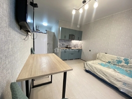 Продается Студия Бабушкина ул, 21.7  м&sup2;, 6250000 рублей