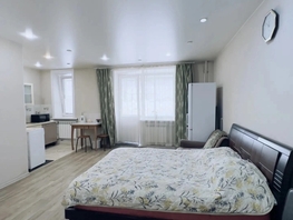 Продается 1-комнатная квартира Терешковой ул, 31  м&sup2;, 5650000 рублей