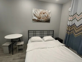 Снять однокомнатную квартиру Бабушкина ул, 22  м&sup2;, 2700 рублей