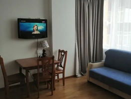 Снять однокомнатную квартиру Полины Осипенко ул, 45  м&sup2;, 3000 рублей