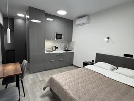 Снять однокомнатную квартиру Пушкина ул, 25  м&sup2;, 3540 рублей