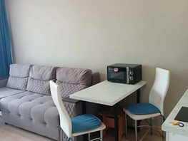 Снять однокомнатную квартиру Пискунова ул, 30  м&sup2;, 2210 рублей