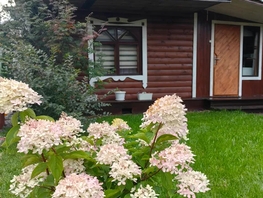 Снять  дом Куликова ул, 30  м&sup2;, 6300 рублей