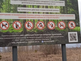 Дом, Хвойная ул