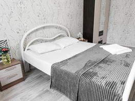 Снять двухкомнатную квартиру Притомский пр-кт, 60  м&sup2;, 3200 рублей