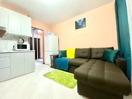 Снять однокомнатную квартиру Молодежный пр-кт, 30  м&sup2;, 2200 рублей