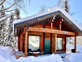 Снять  дом Янтарная ул, 60  м&sup2;, 17250 рублей