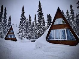 Снять  дом Родниковая ул, 48  м&sup2;, 6900 рублей