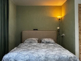 Снять однокомнатную квартиру Дружбы  пр-кт, 32  м&sup2;, 2700 рублей