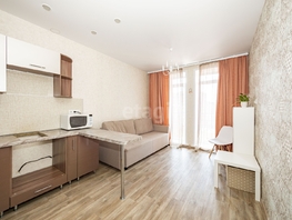 Продается 1-комнатная квартира Мясниковой ул, 33.2 м², 4850000 рублей