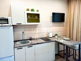 Снять однокомнатную квартиру Ипподромская ул, 27 м², 35000 рублей