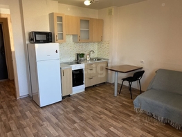 Снять однокомнатную квартиру Петухова ул, 25.5 м², 18000 рублей