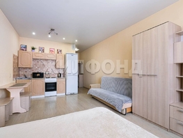 Продается Студия Виктора Уса ул, 28.2 м², 3495000 рублей