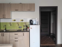 Снять однокомнатную квартиру Стартовая ул, 24.7 м², 28140 рублей