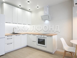 Продается 2-комнатная квартира ЖК Заельцовский New, 48.1 м², 10750000 рублей