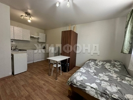 Продается Студия Саратовская ул, 22.5  м&sup2;, 1800000 рублей