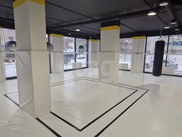 Сдается Универ. помещ ЖК Ред Фокс, дом 5, 178  м&sup2;, 150000 рублей