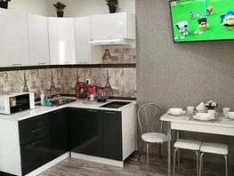 Снять однокомнатную квартиру Немировича-Данченко ул, 25  м&sup2;, 3500 рублей